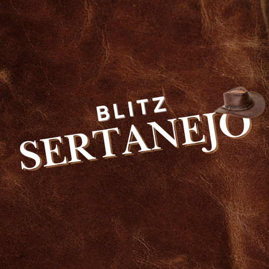 Banner programa Blitz Sertanejo